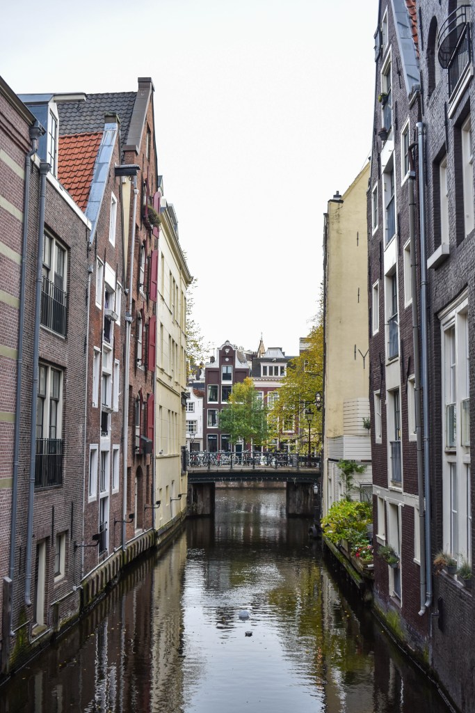 ruelles et canaux d'Amsterdam Negen Straatjes