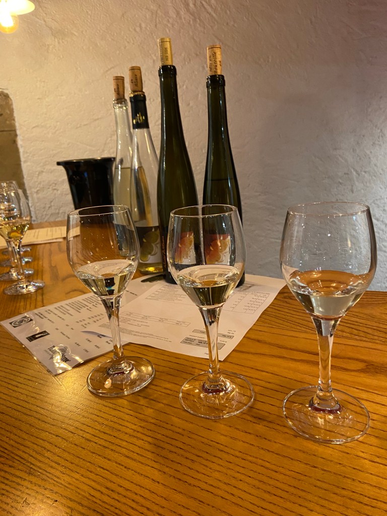 Dégustation de vin chez Wittmann à Mittelbergheim