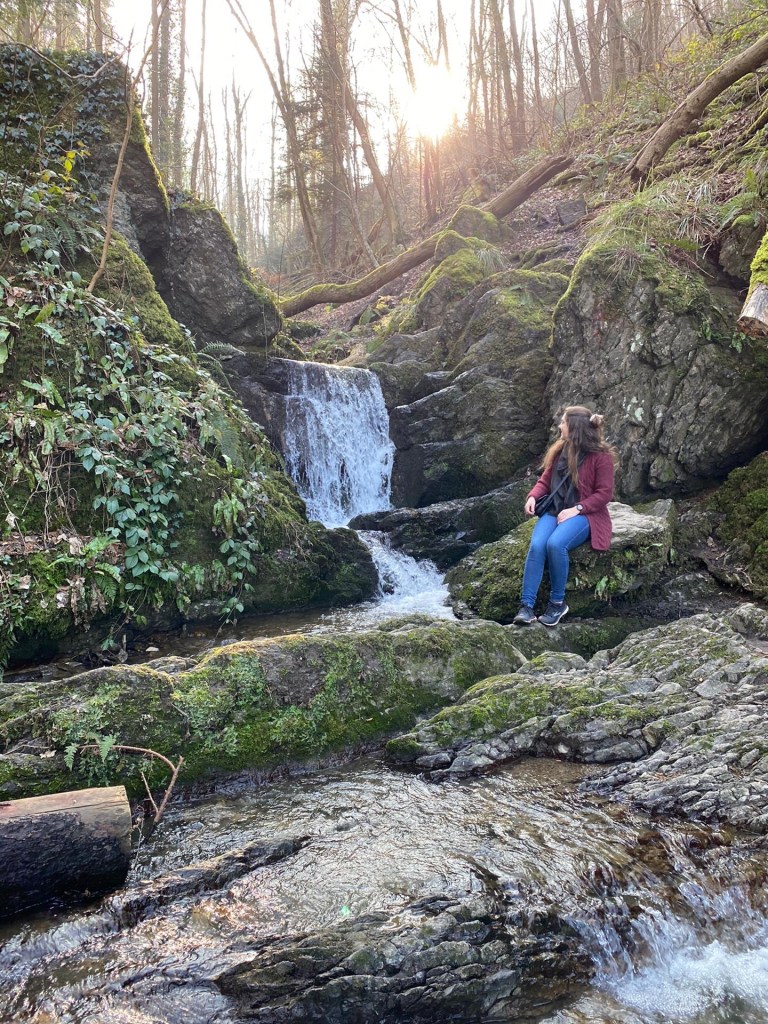 cascade en forêt