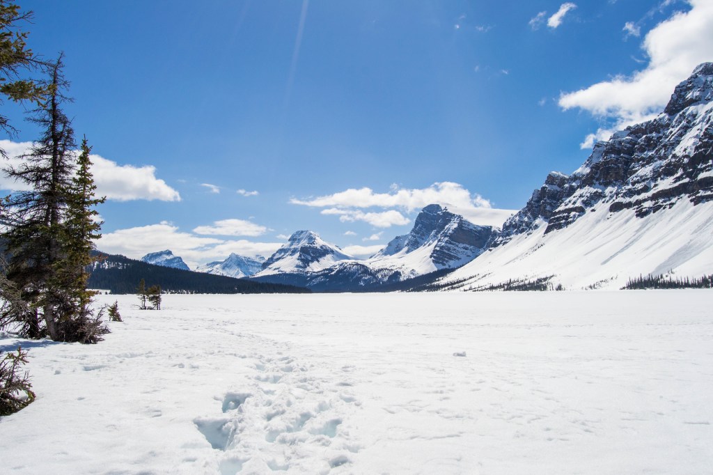 Lac Bow enneigé