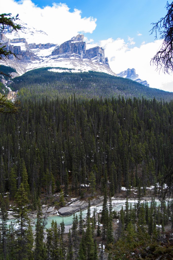 vue d'en haut sur le Canyon Mistaya