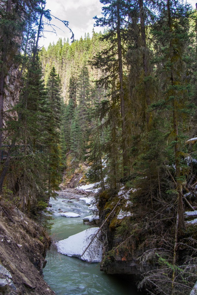 Johnston Canyon