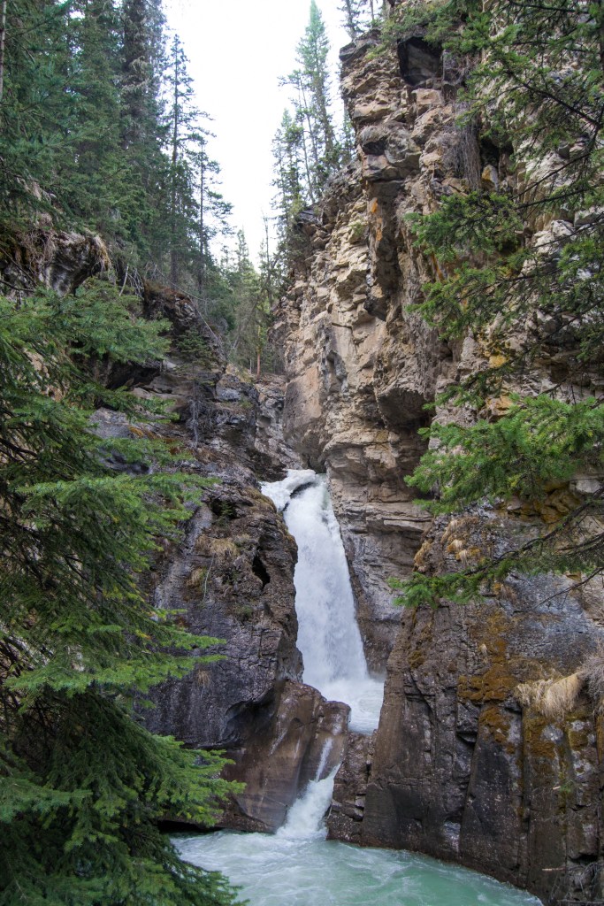Cascade au Johnston Canyon