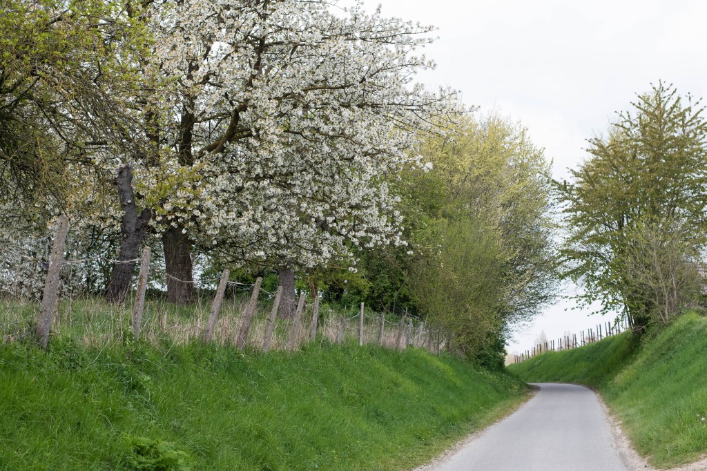 rue de campagne à Borgloon