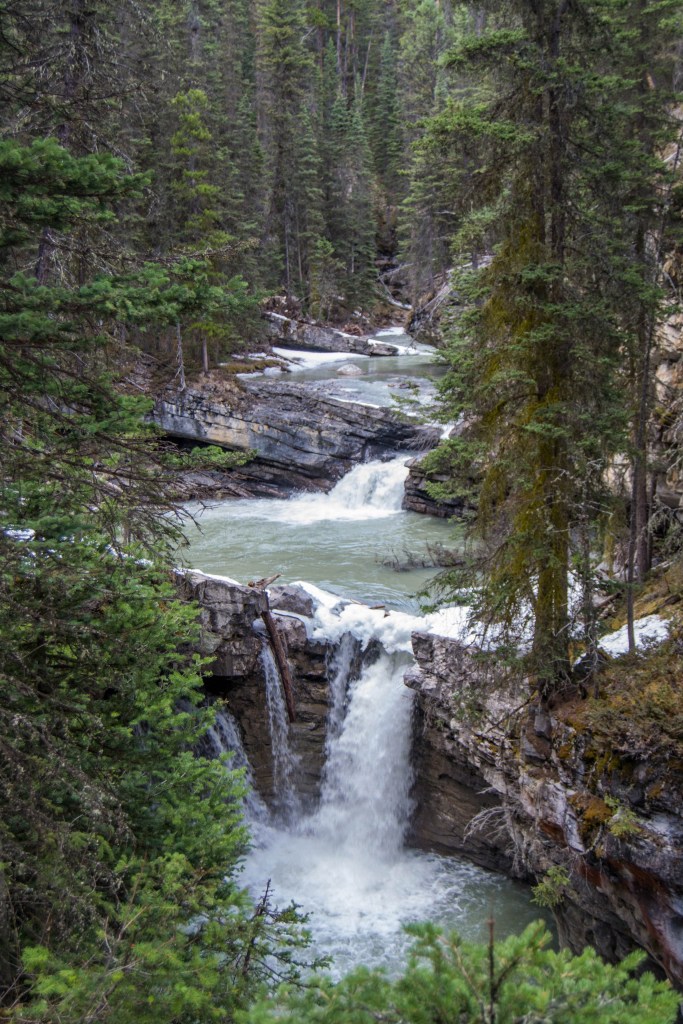 Cascade au Johnston Canyon