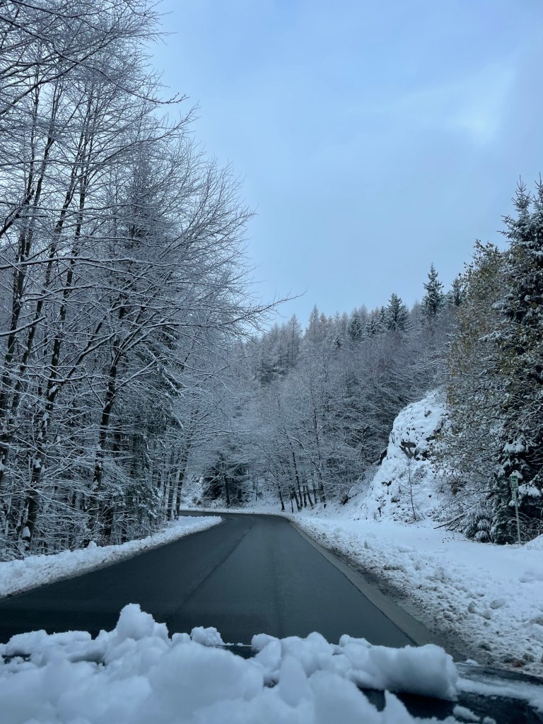 fagnes sous la neige