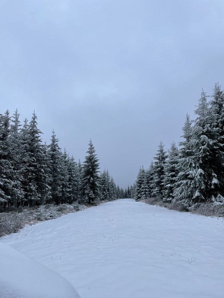 fagnes sous la neige