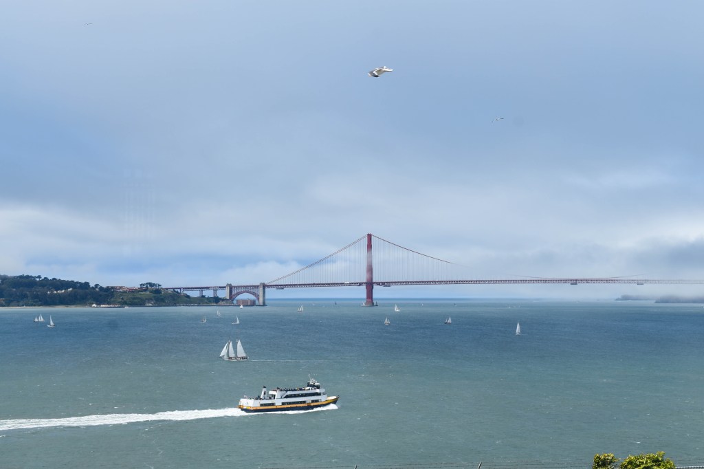 vue sur le golden bridge de san francisco depuis l'île de la prison d'alcatraz