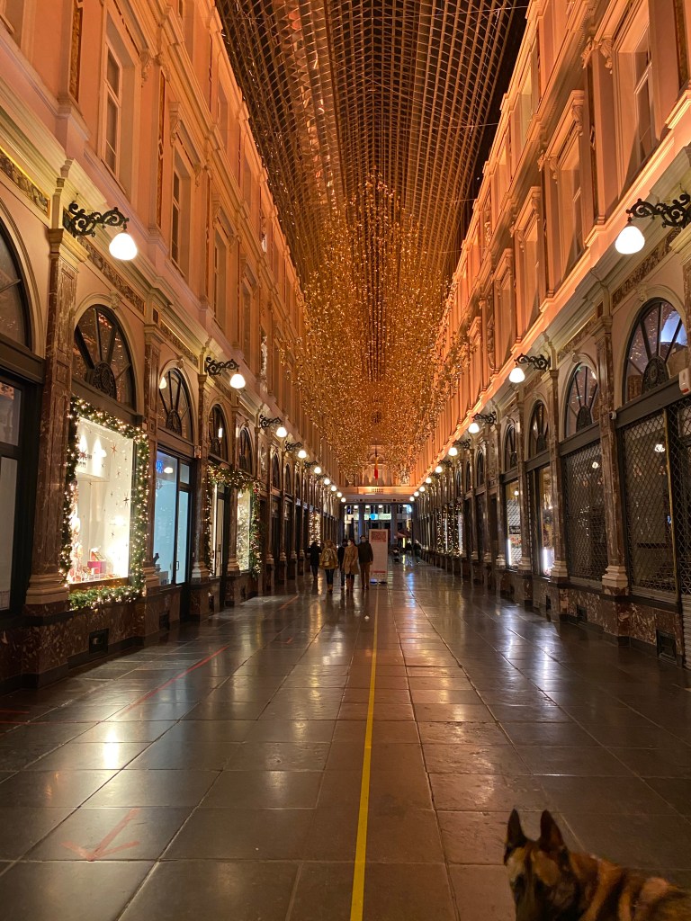 galeries royales de bruxelles