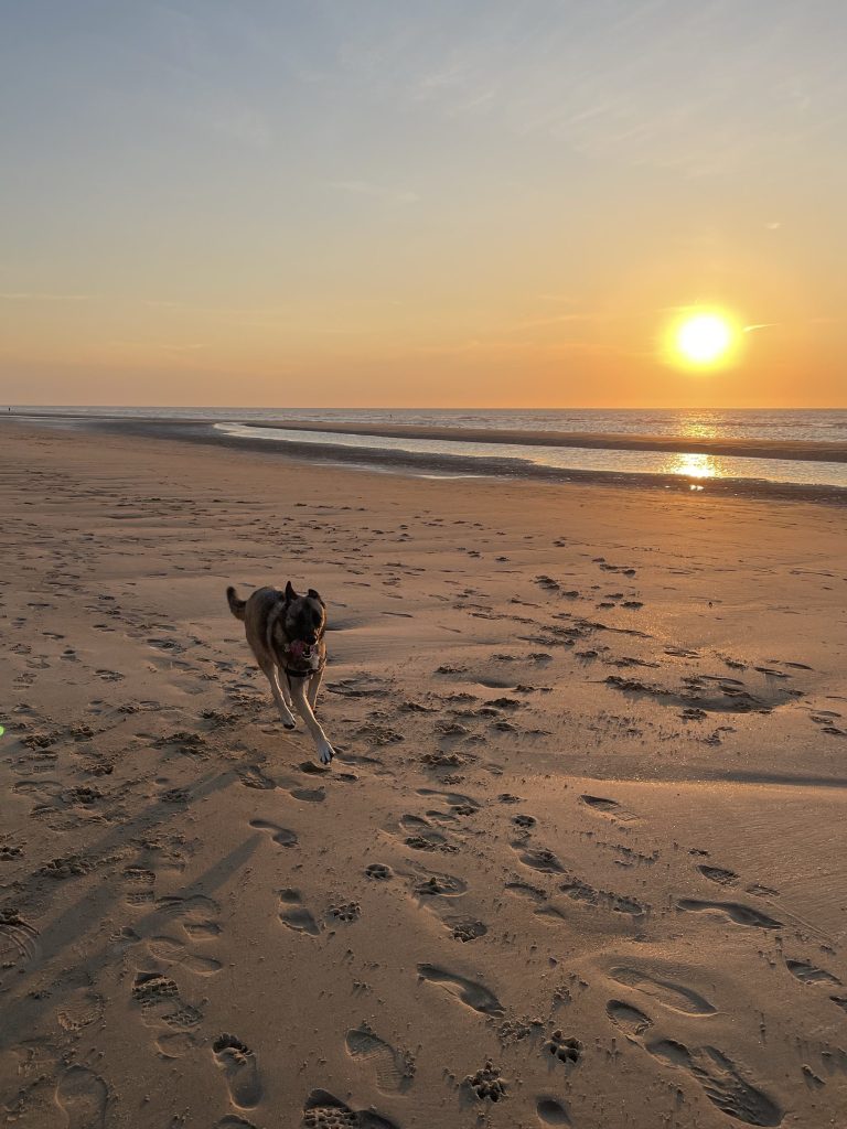 coucher du soleil sur la plage de la mer du nord