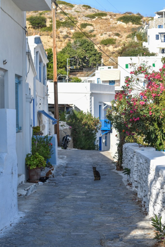 ruelles de Katapola