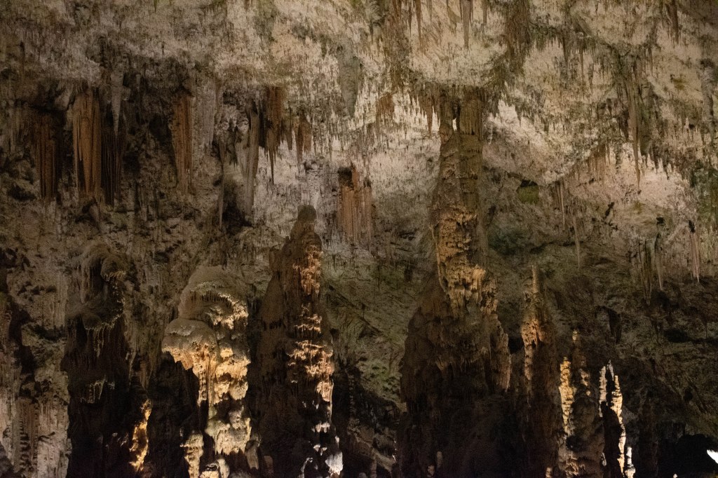 grotte de postojna