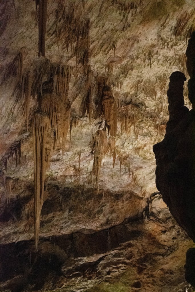 grotte de postojna