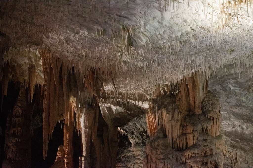 grotte de postojna