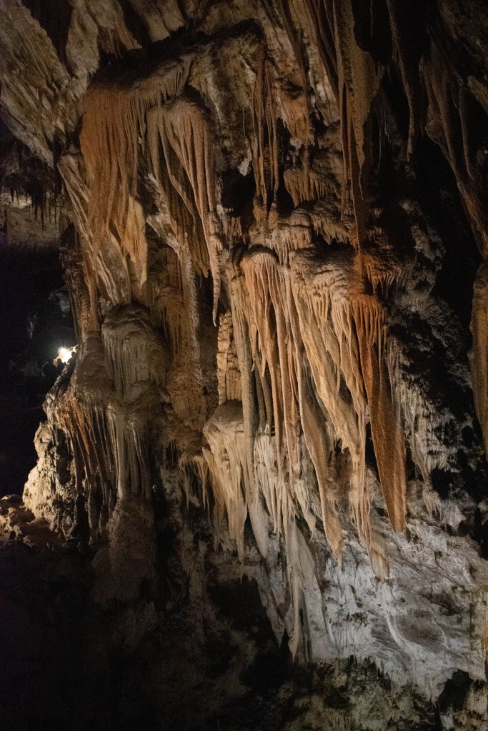 grotte de postojna