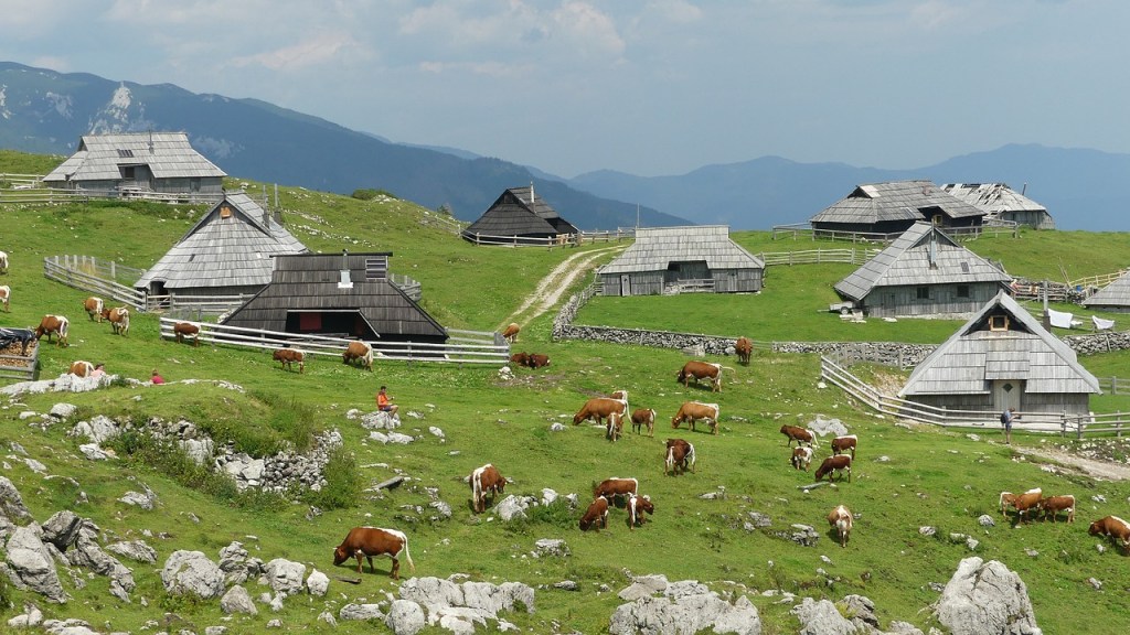velika planina